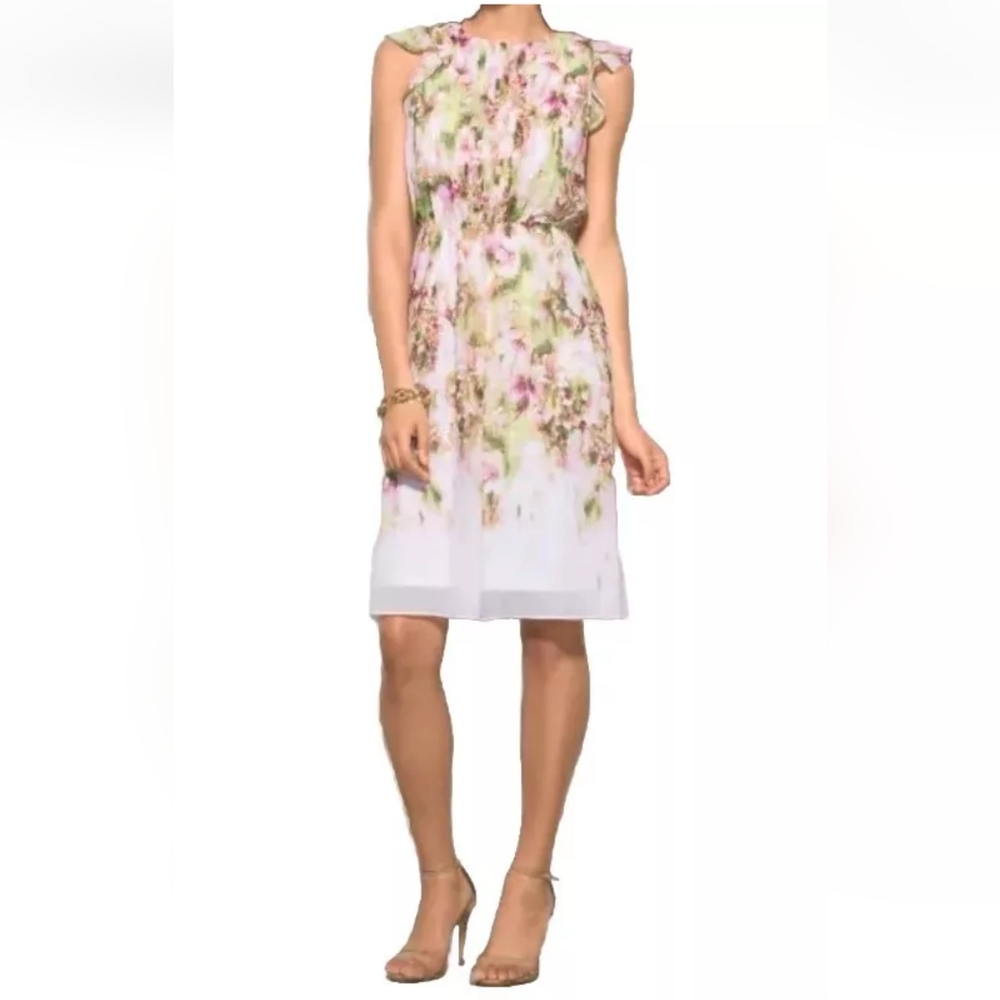 Dressbarn Chiffon Dress Woman Plus 20W Whimsical Fairy Feminine Boho Floral New